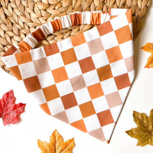 Autumn Picnic Bandana