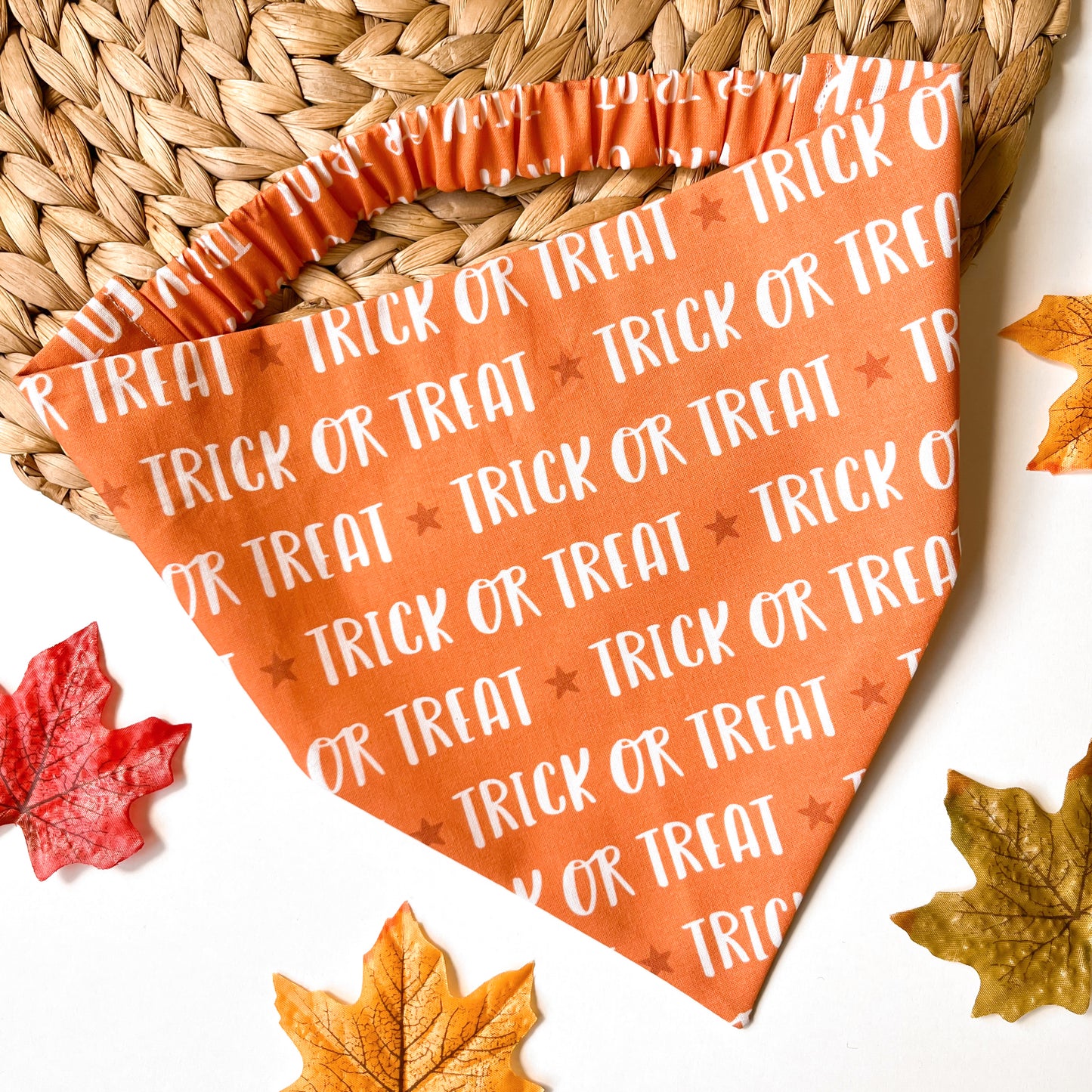 Trick or Treat Bandana