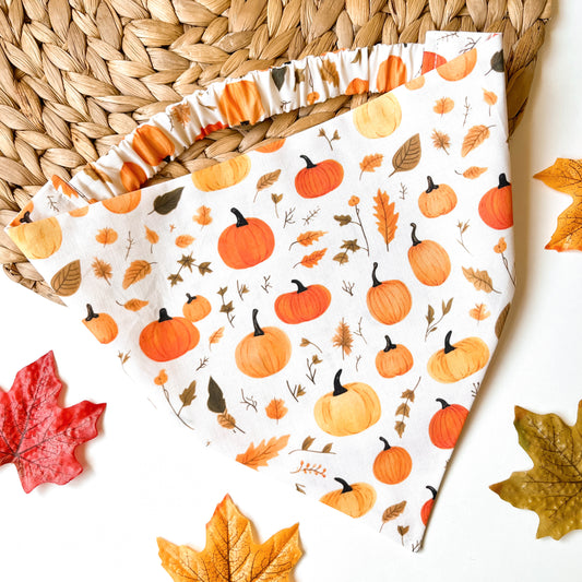 Pumpkin Pickin' Bandana