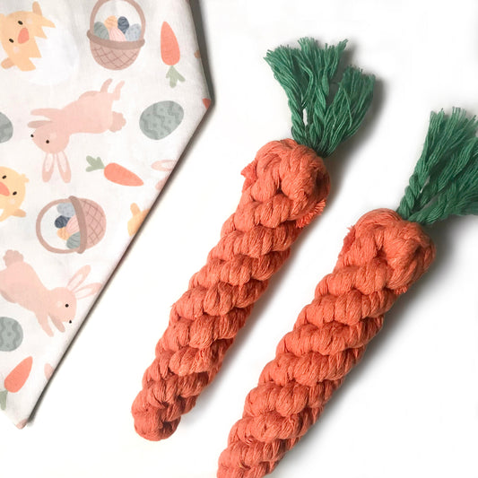 Carrot Rope Dog Toy