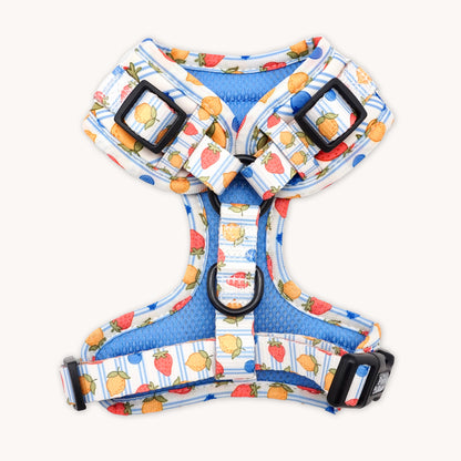 Berry Zest Harness