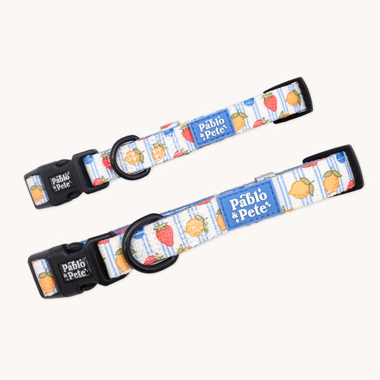 Berry Zest Collar