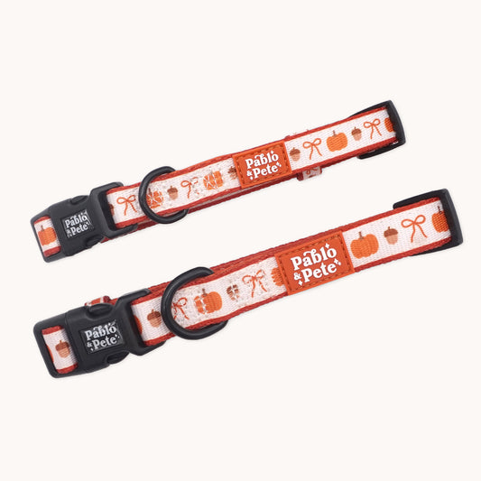 Pumpkin Season Collar