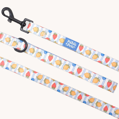 Berry Zest Bundle