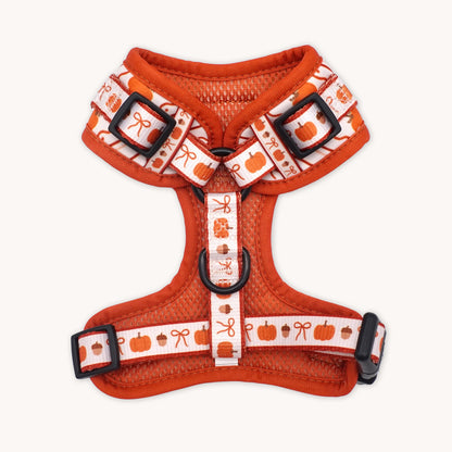Pumpkin Season Harness