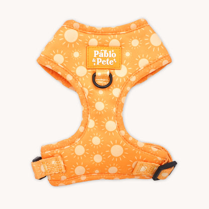 Le Soleil Bundle