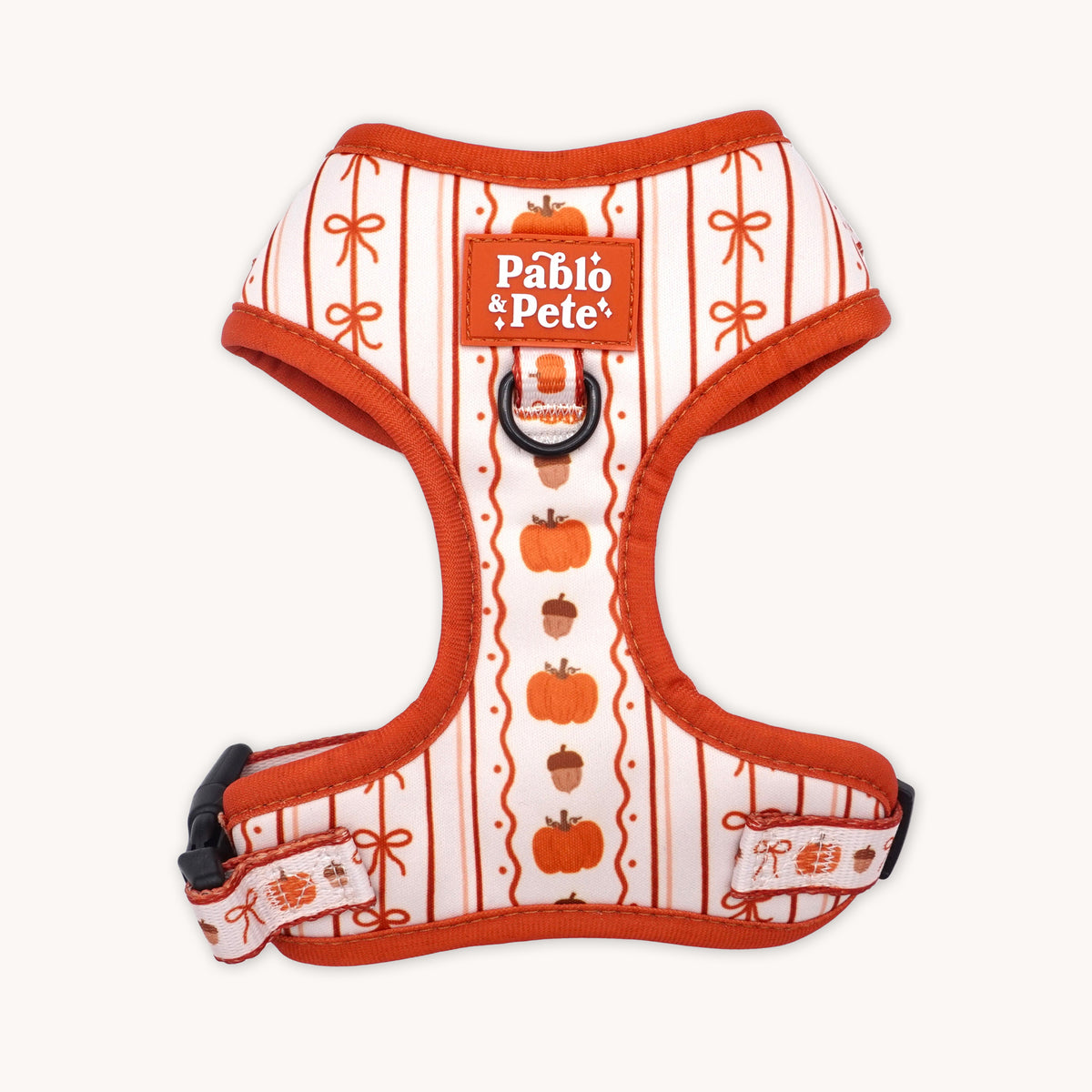 Pumpkin Season Harness