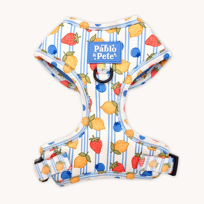 Berry Zest Harness