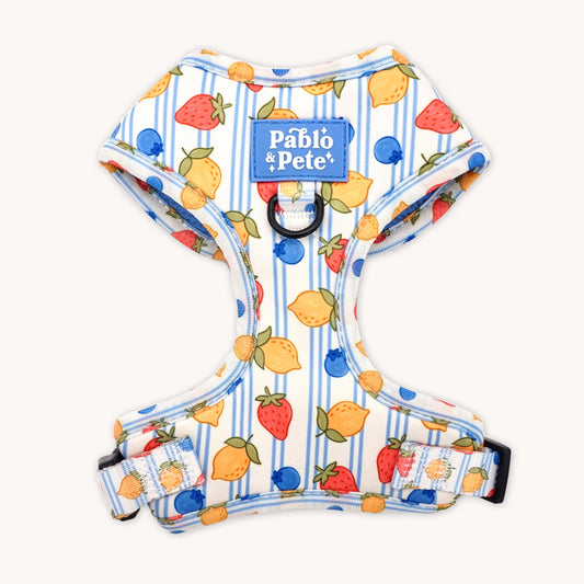 Berry Zest Harness